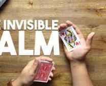 the invisible palm